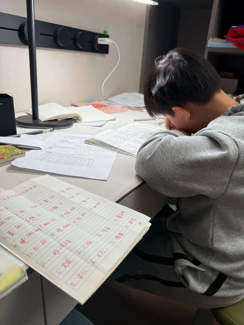 魏县课外辅导：知识灯塔照亮孩子的未来之路