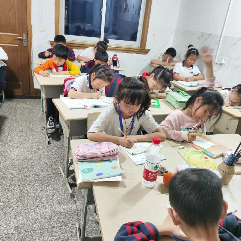 学伴教育